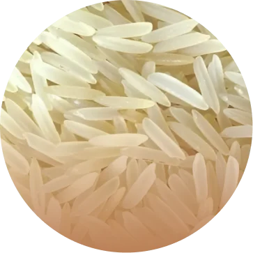 PR106 Rice