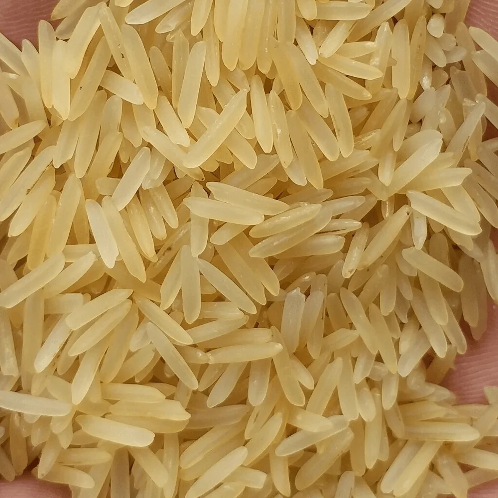 Basmati 1509