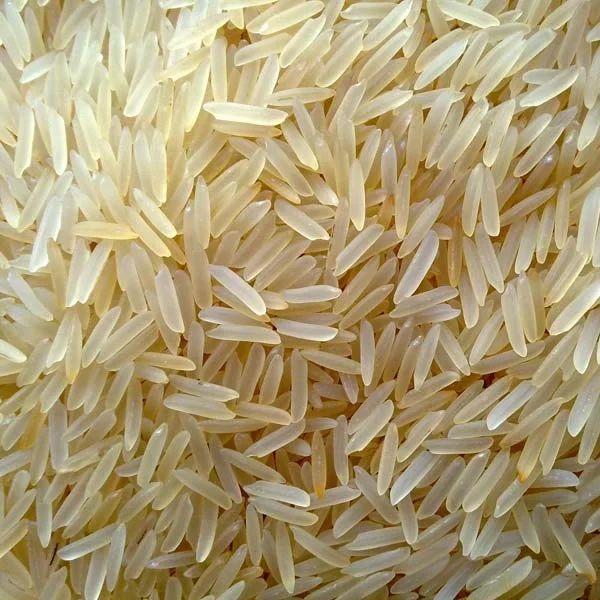 Sugandha Rice